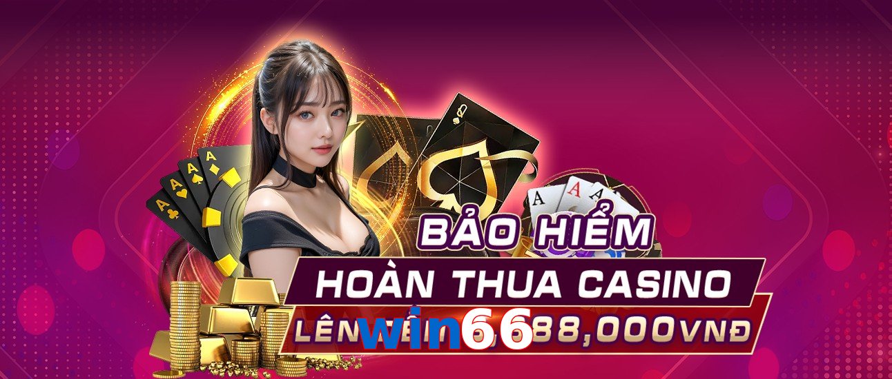 win66