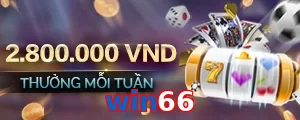 win66