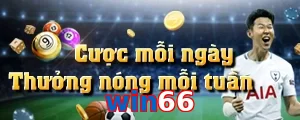 win66